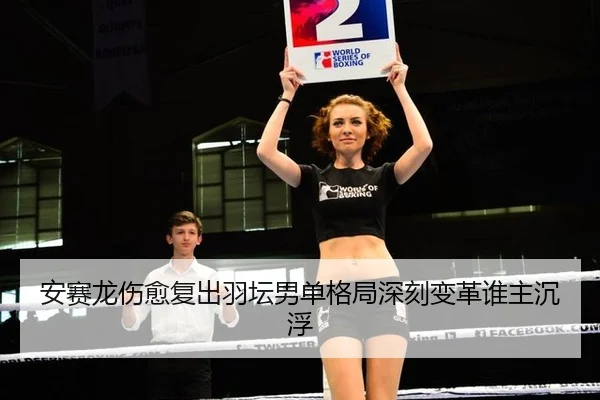 安赛龙伤愈复出羽坛男单格局深刻变革谁主沉浮